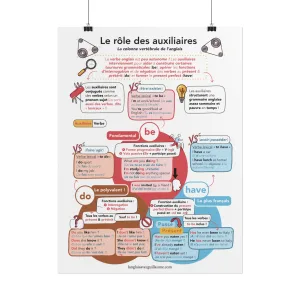Poster pédagogique 'Le rôle des auxiliaires' (45x60cm)